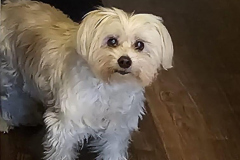 2a8469ad-beae-4f6a-815a-ea0a4fd872f1