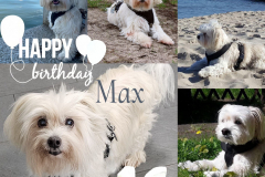 742eb5f0-7c0a-4955-92f2-7a6c5d8771d3