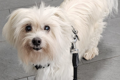 ad8678a4-f0b7-4509-b5f0-a09a6c284244